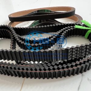 Dây curoa Bando DS8M-800