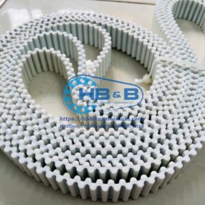 Dây curoa PU trắng lõi thép, 2 mặt răng sole