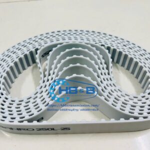 Dây curoa PU trắng lõi thép 250L -25